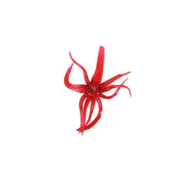 Clam Pro Tackle Maki Neki -Jig Reel Pro Sales Store 110918maki neki red