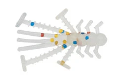 Eurotackle Micro Finesse Crazy Critter -Jig Reel Pro Sales Store Crazy Critter Wonder Bread 1 1024x1024 8635d8a4 e82a 42ec 8d3d ff60d1c9b47e