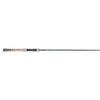 Fenwick Eagle® Casting Rod