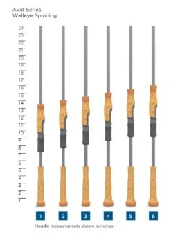 St. Croix St Croix Avid Series Walleye Spinning Rods -Jig Reel Pro Sales Store SCR HandleChart AvidSeriesWalleyeSpinning